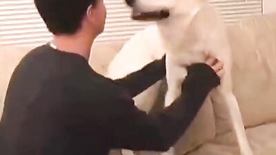 Zoo dog porn: girl dog hard