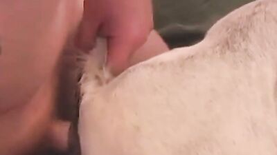 Dog girl 1: oleg rachko zoo porn