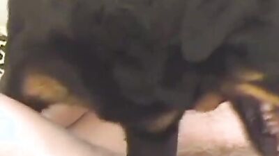 Russian zoo porn: sonya animal porn