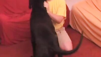 Animal sex video: first try bestiality