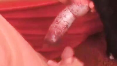 Animal sex video: first try bestiality