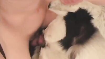 Porn bestiality: zoophilia animation