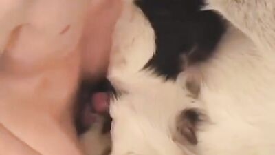 Porn bestiality: zoophilia animation