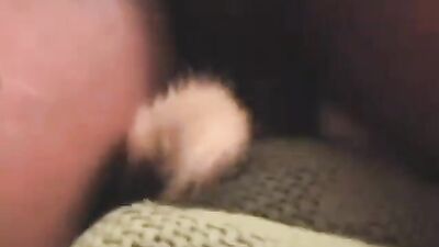Porn comics bestiality: nsfv video zoo