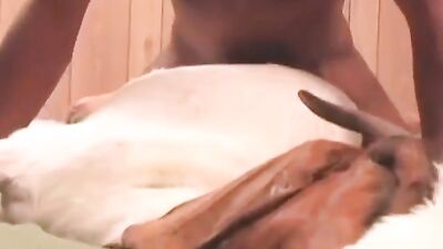 Porn comics bestiality: nsfv video zoo