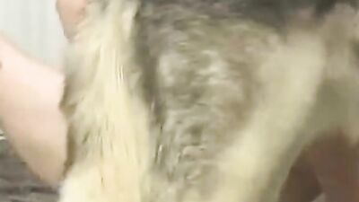 Zoo video: dog hard fuck porn