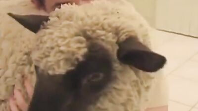 Bestiality games: mind control bestiality story