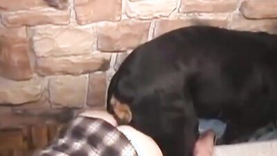 Zoophilia porno: girl and dog sex 2026
