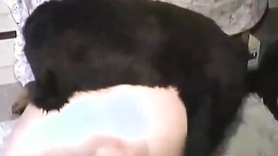 Animal sex porn: sex married couple with dog