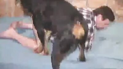 Bestiality sex: zoo sex video hd