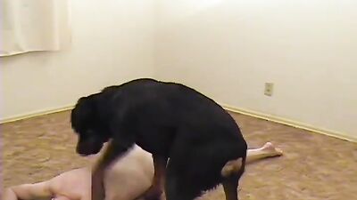Animal porn: zoo sex fun