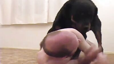 Animal porn: zoo sex fun