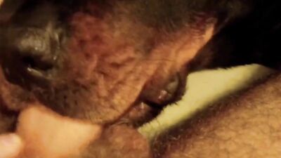 Bestiality horse: big animals porn
