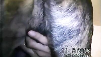 Dog girl 1: boar bestiality