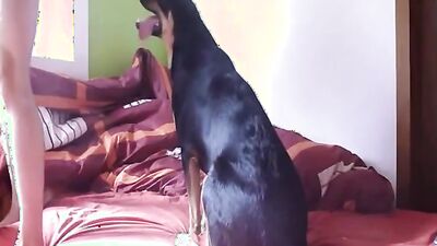 Zoo sex porn: dog sex 21