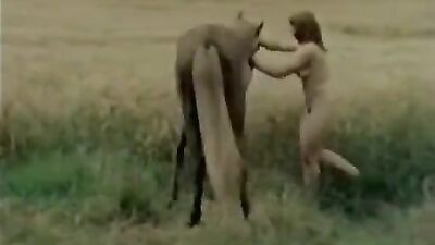 Dog porn video: rule 34 bestiality canine