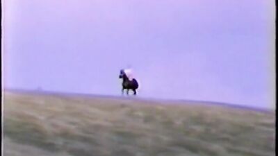Zoophilia porn: dick dog porn