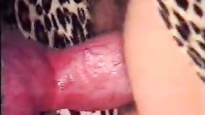 Dog sex porn: zoo porn downloads