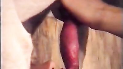 Dog sex porn: zoo porn downloads