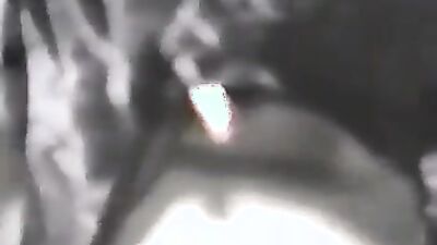 Animal porno: brazilian girl blowjob dog