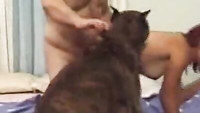 Girl dog video: girl cam sex dog