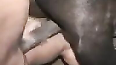 Bestiality video: porn zoo sex with sexy
