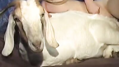 Zoophilia porno: news zoo porn 2026