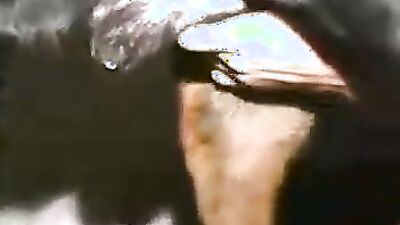 Zoophilia video: zoophilia video men