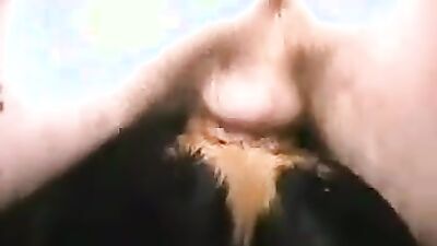 Zoophilia video: zoophilia video men