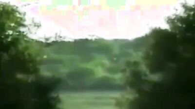 Animal sex video: longest animal porn