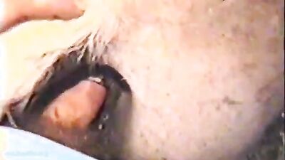 Zoo porn video: zoo school porn