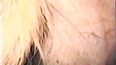 Zoo porn video: zoo school porn