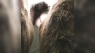 Dog teen girls: zoo hentai porn new