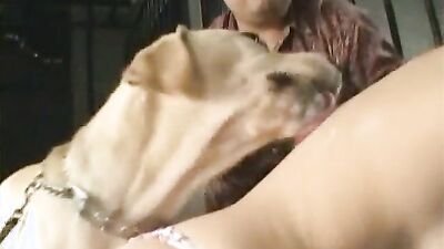 Girl cat dog: porno animals human