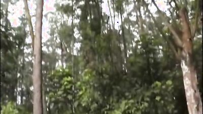 Zoo sex video: gay videos zoo