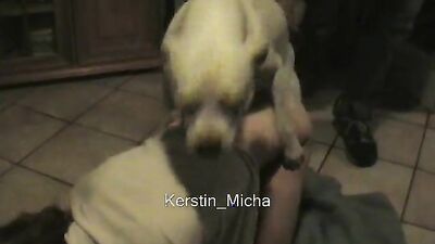 Animal crossing porn: stray dog porn