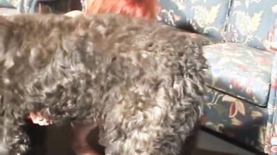 Dog sex girl: wild animal porn