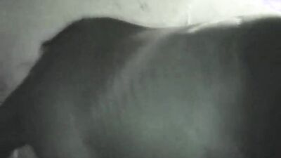 Dog sex porn: hentai 3d bestiality