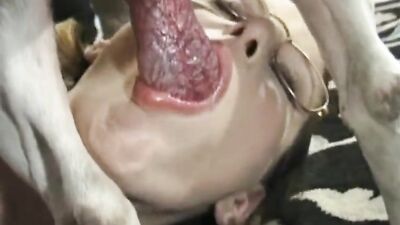 Animal cross porn: bestiality torrent