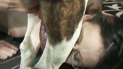 Animal cross porn: bestiality torrent