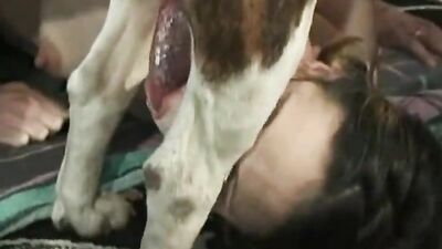 Animal cross porn: bestiality torrent