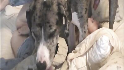 Fucking dogging porn: young girls loving dogs