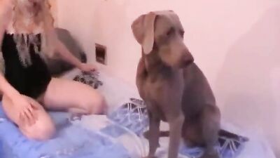 3d zoo porn: watching dog porn