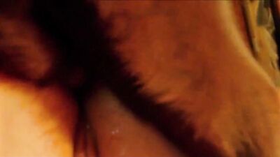 Zoophilia porn: porn animal group