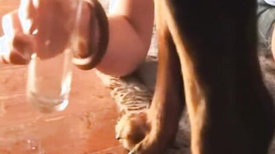 Zoo fuck porn: bestiality fuck