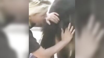 Zoo porn: animal porn 2026
