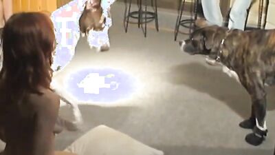 Sex animal's: blonde girl dog