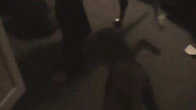 Gay zoo porn: porno men sex a dog