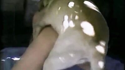 Dog licking girl: animal mating porn