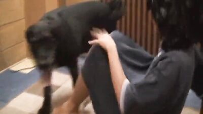 Bestiality sex: art of zoo dog fuck